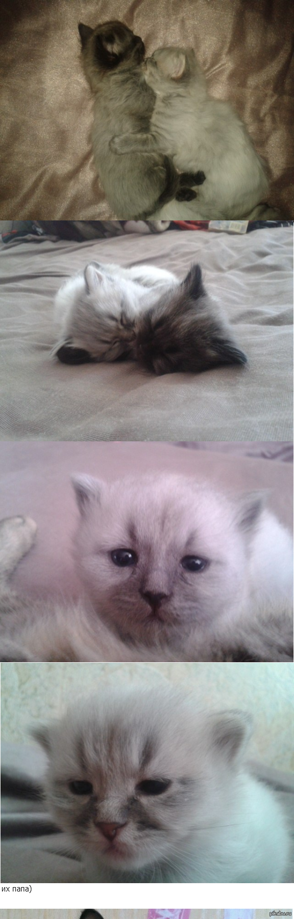  -   1 ,    ! (     ) :)