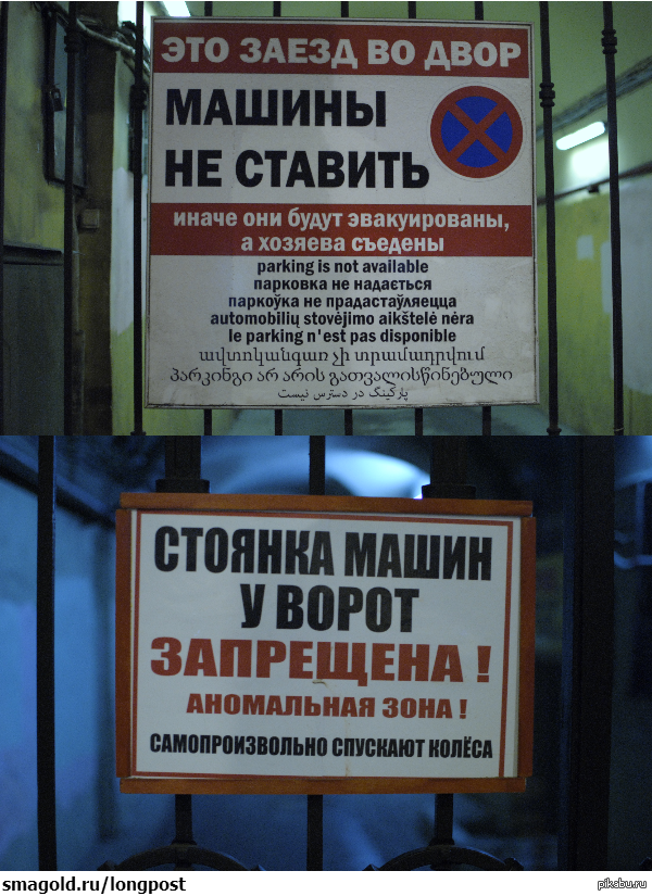 Мистический и вежливый Санкт-Петербург.