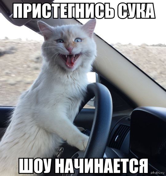 �����������!