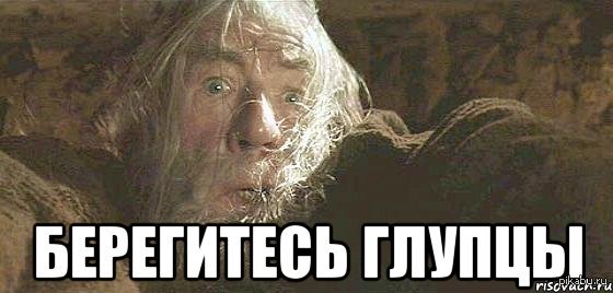 Пеките блинцы глупцы гендальф. Бегите глупцы бегите. Одумайтесь глупцы гендальф. Пеките блинцы мем. Властелин колец бегите глупцы.