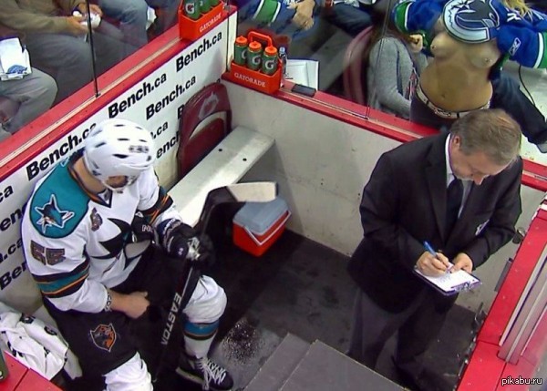 The fan supported the penalty box - NSFW, Hockey, Fans, San Jose Sharks