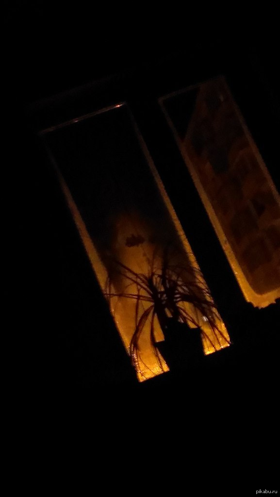 �� ������ ������ �� ���� � Outlast