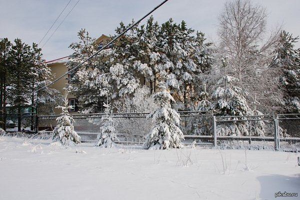К куче постов с нытьем про погоду. это 30 апреля 2010 года. Юг Тюменской области.