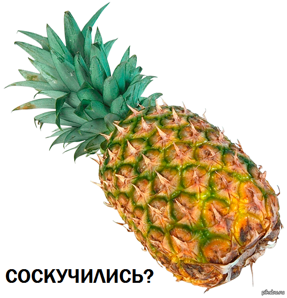 воспоминания...