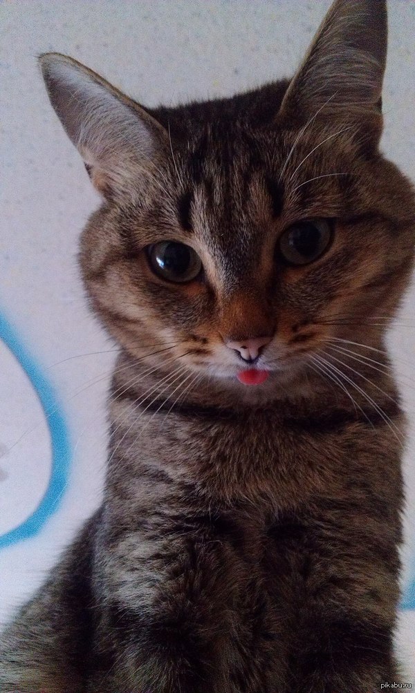 �����, ���-���� �� ������ ��������� ����, ����� �� ����� �� ������������