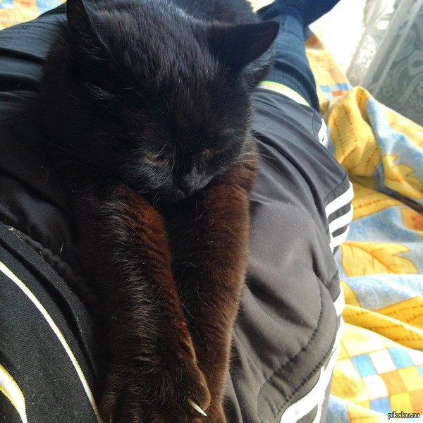 ����� �����