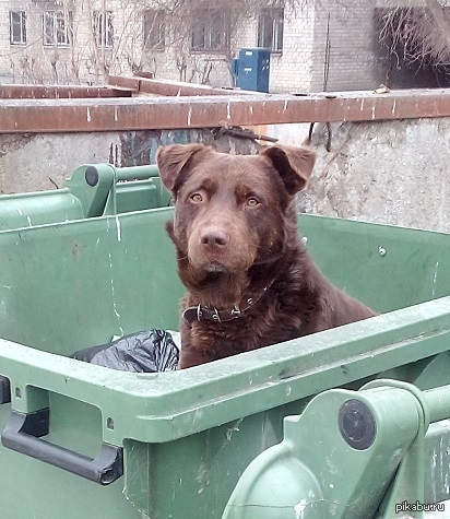 Чо, те. надо?