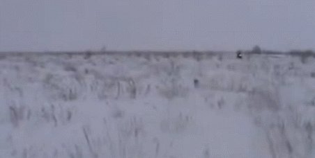    ! 