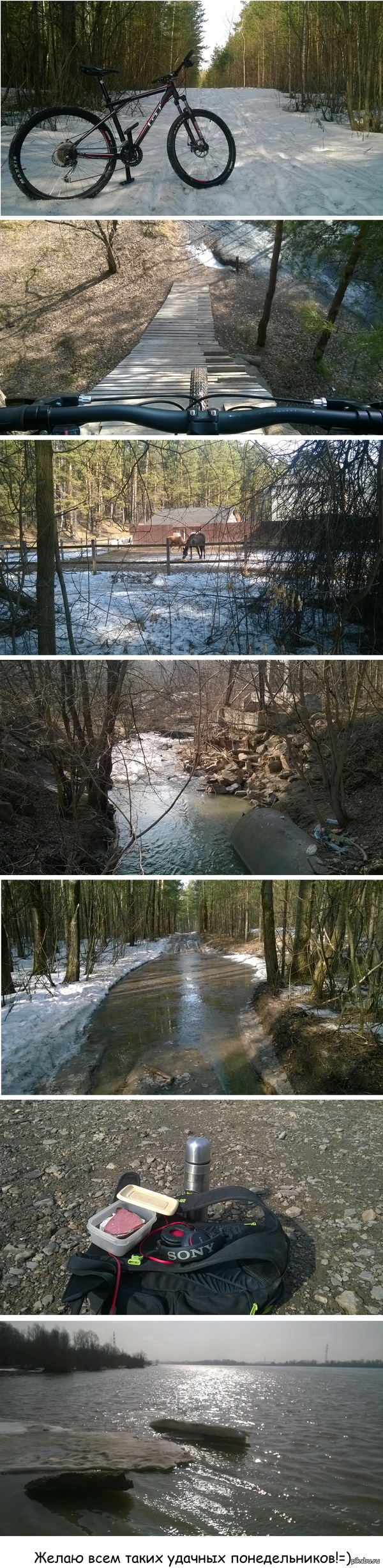 А как у вас прошло утро понедельника?