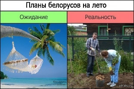 Аграрная страна!