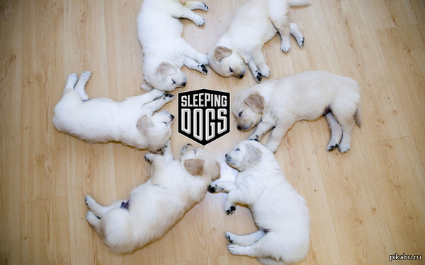 На злобу дня.