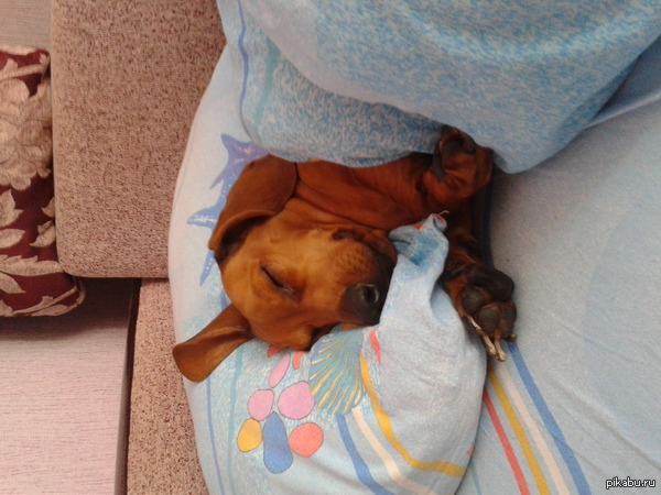 ��� ������� ������) ��������, ��� ���� ��������� ���, �� ���� � ��� ��������