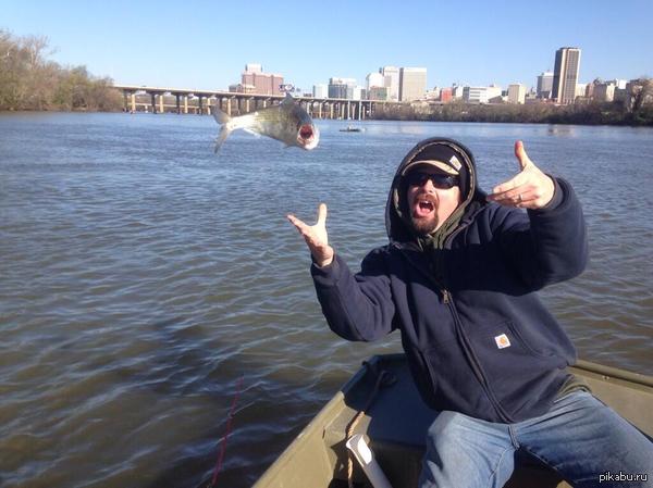 Удачное фото