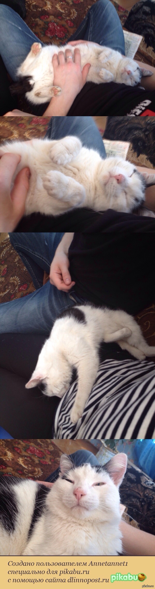 ��� ������� �����, � ���� �����.