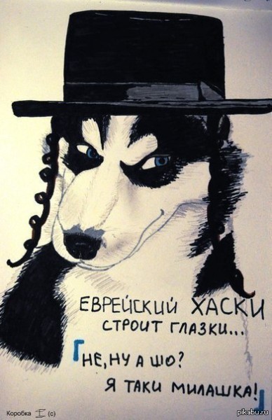 Таки хаски :)