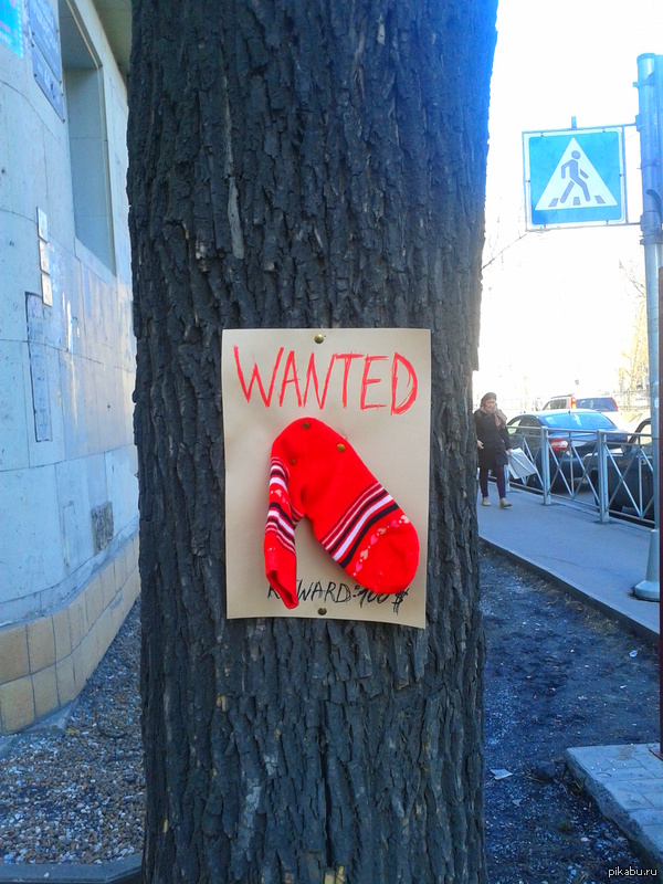 Wanted dead or alive!