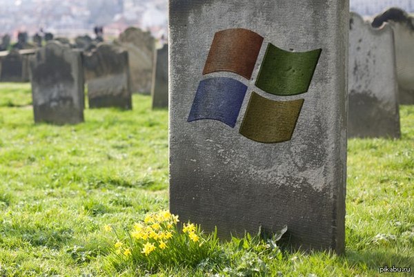 ظ          Windows XP.     ,  . 