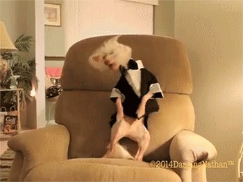  =) 