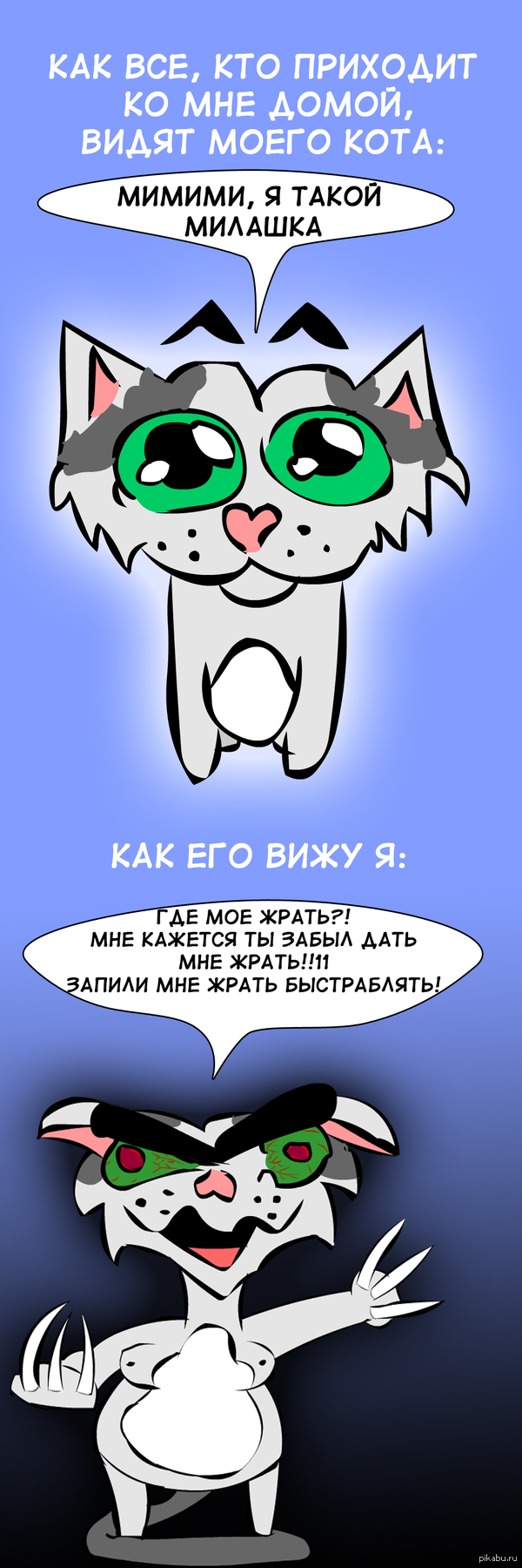 ��� ��������