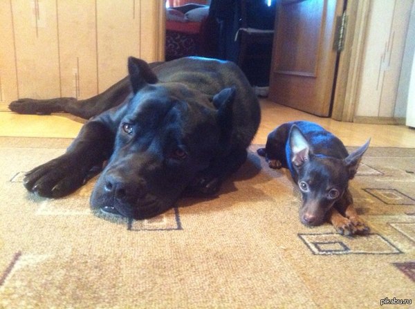 Ты и я такие разные