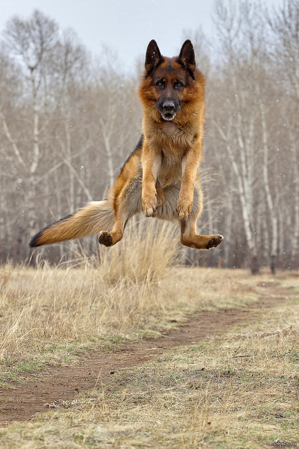 Jumping for joy! :) 