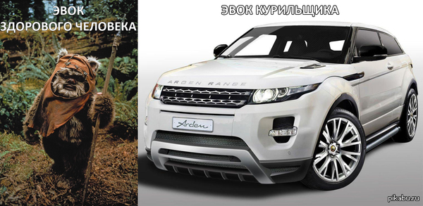 Эвоки такие разные