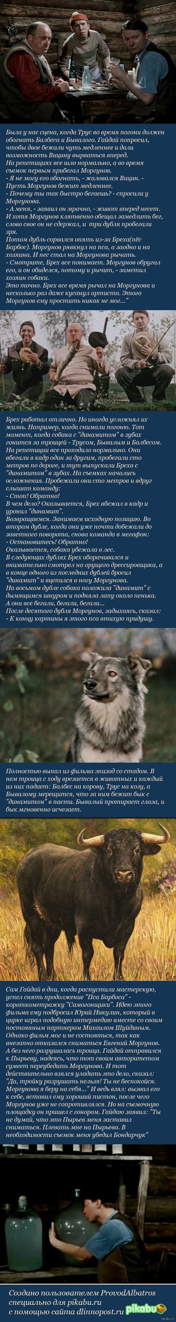 "Пёс Барбос и необычный кросс" и "самогонщики". Факты