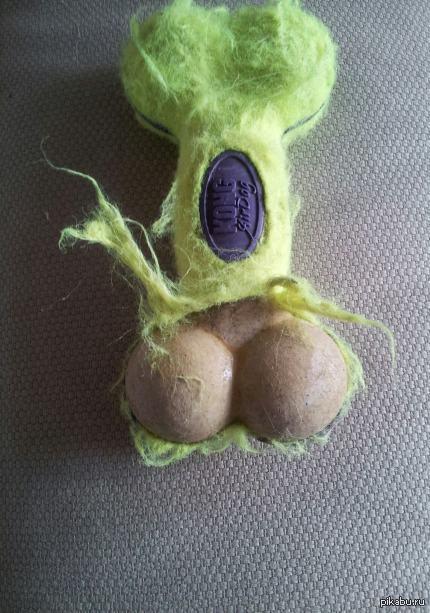 Собака... погрызла...косточку ;)