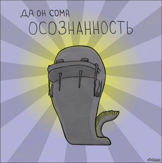 Шутки Про Осознанность