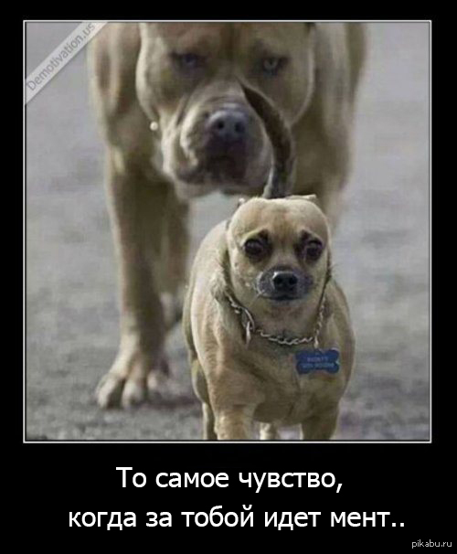 То самое чувство...
