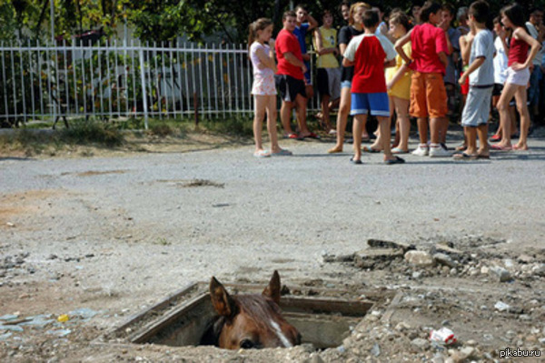 "Ей, детишки, не хотите купить немного наркотиков?"