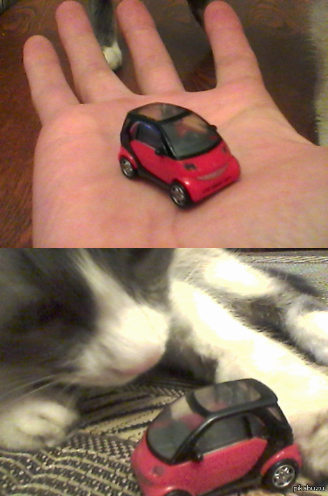 Mercedes smart � ��������� �������