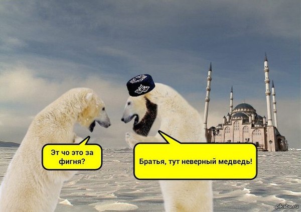 ������ �� ����� ���������� ���� ����� ���������� �� �������� ������