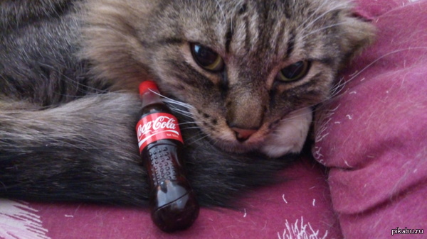 ��� ��� �������������� ���� ���������?