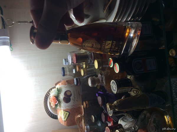 �������� ���������-�����������