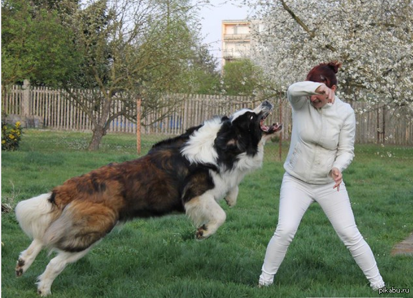 � � ��� �� ����