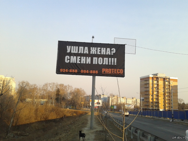 Has your wife left? - Advertising, My, Khabarovsk