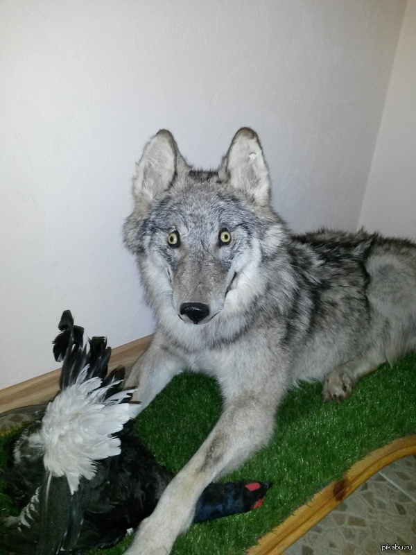 Удачная охота!