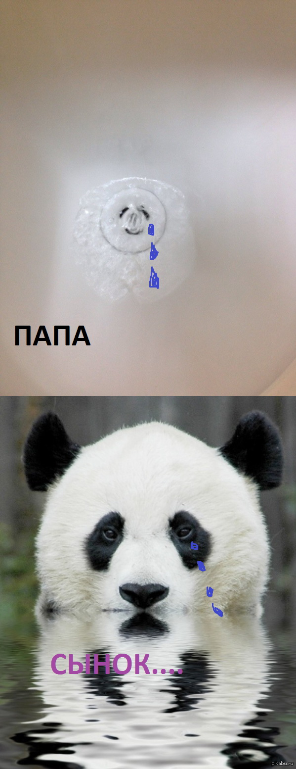  .    .