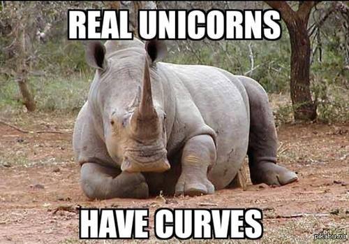 Настоящий единорог должен быть немного "в теле"