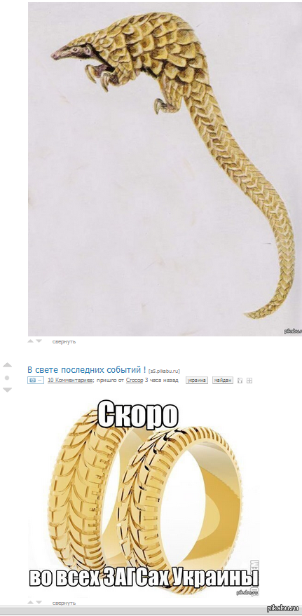 � � �������� �������, ��� ��� ���� ����