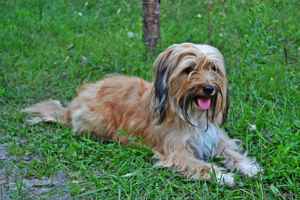 �������� ����� � �������� ���� "��"!