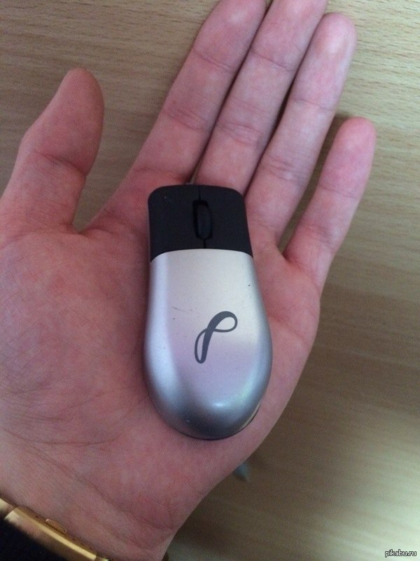 ������ �� ���� ���������!