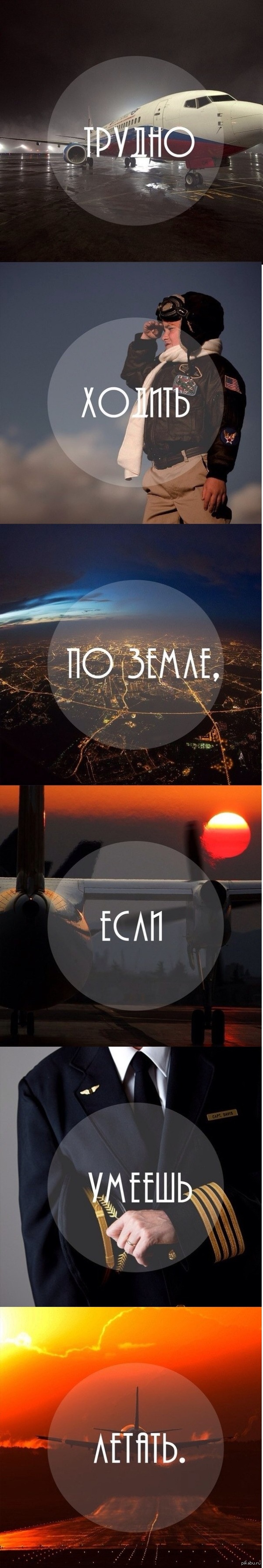       )) 