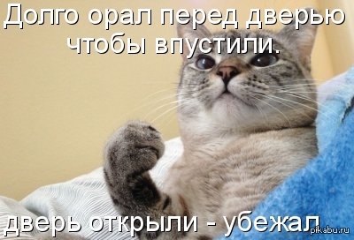 ������ �������)