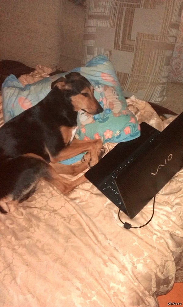 А мы вот так сериалы смотрим=)