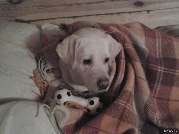 ����� ���� �����, � ���.....