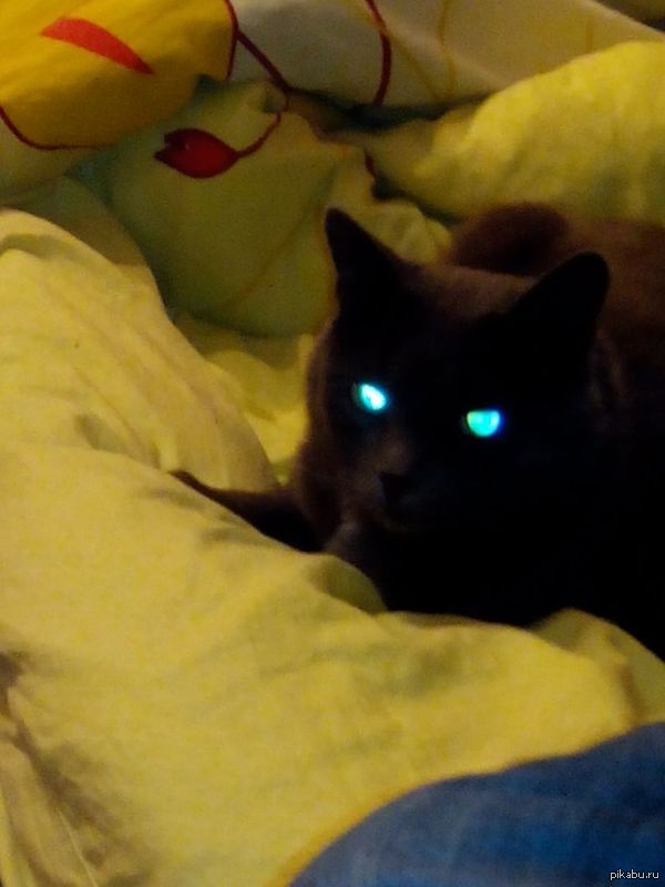 ��� ����� ��������� ������