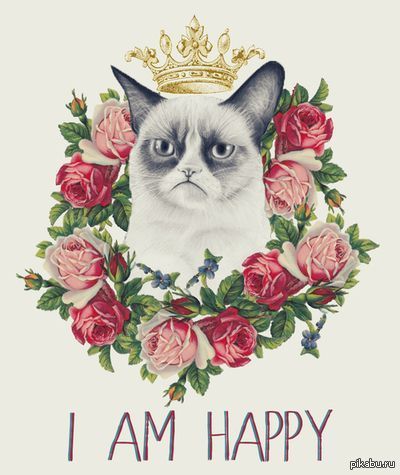 ������� �� ������ �������