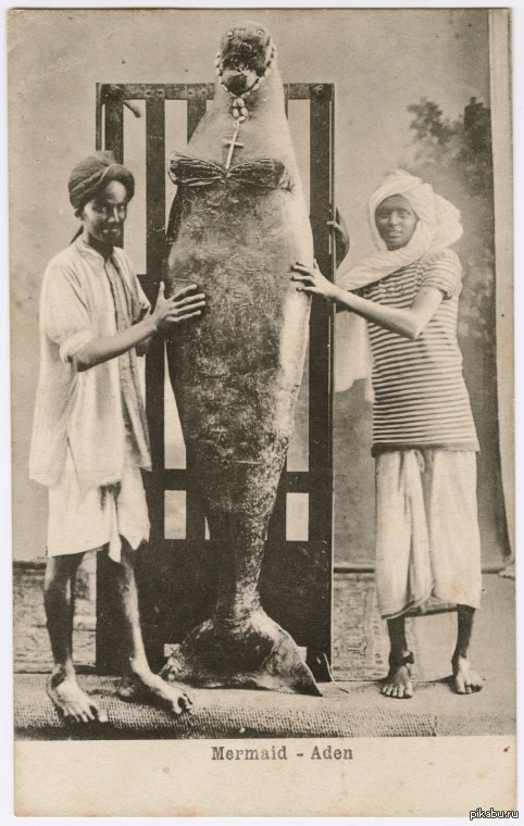 Ариэль уже не та